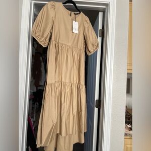 Zara Puff Sleeved Dress